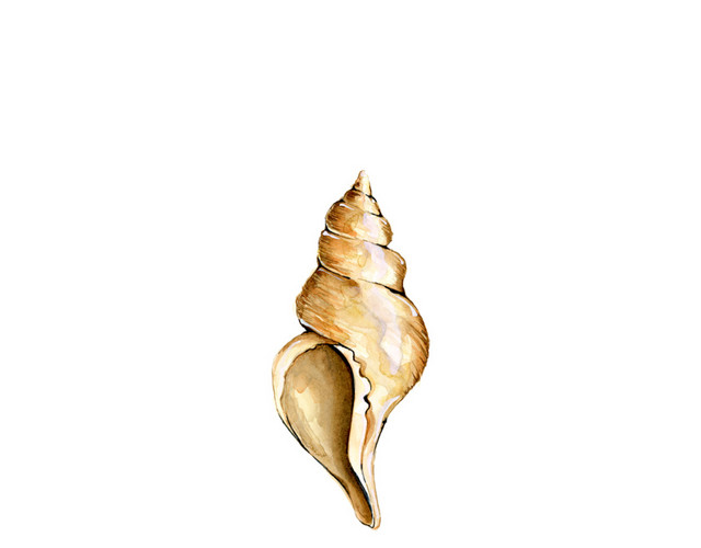 卡通手绘装饰插画