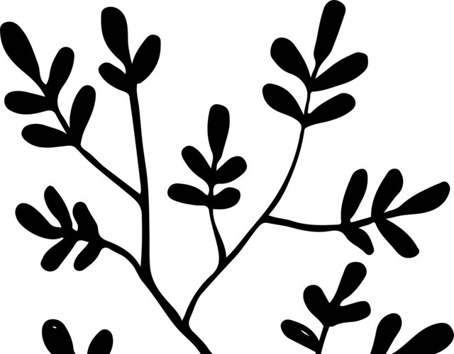 简约手绘植物