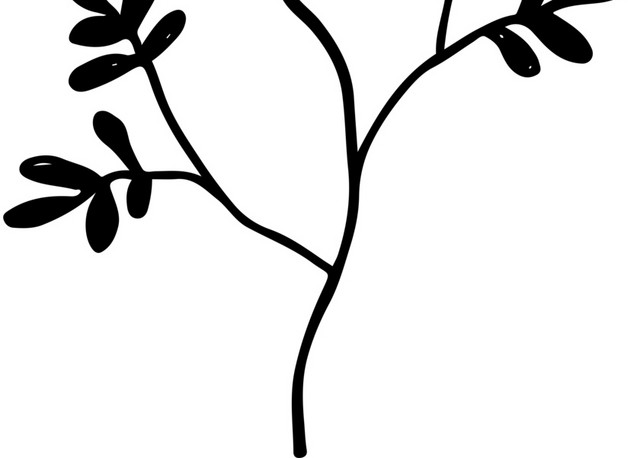 简约手绘植物