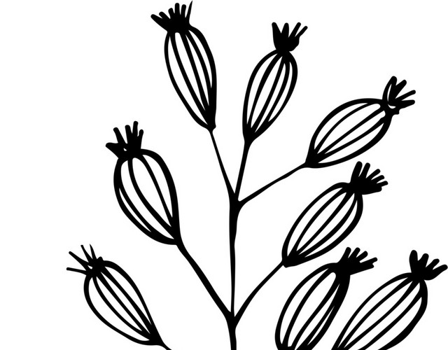 创意手绘植物