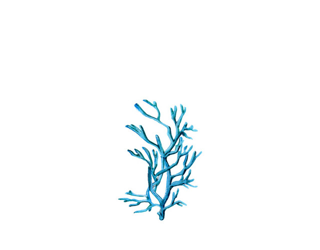卡通手绘装饰插画