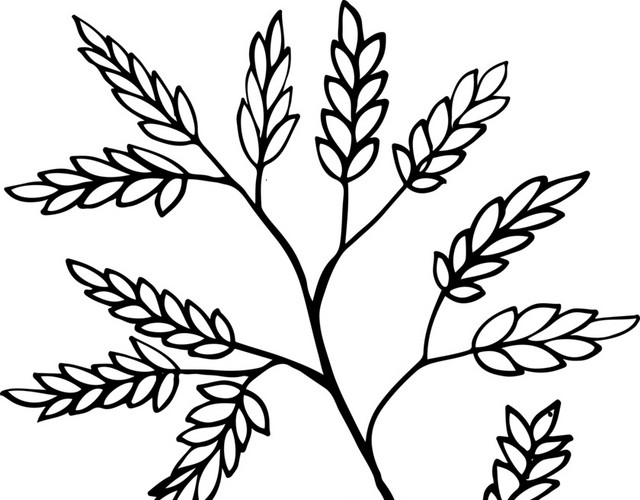 创意手绘植物