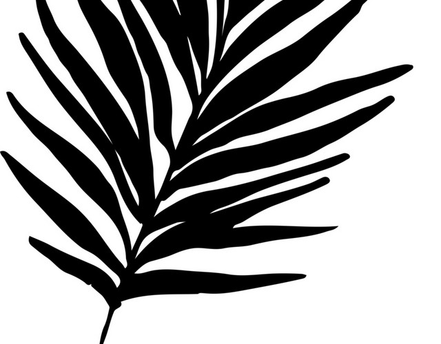 创意手绘植物