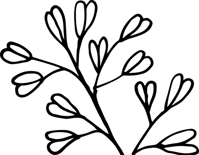 创意手绘植物