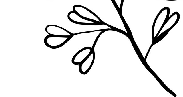 创意手绘植物