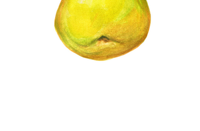 黄色梨子插画素材