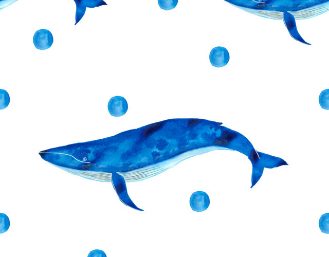 蓝鲸海洋生物背景素材