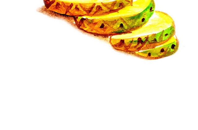 菠萝片插画素材