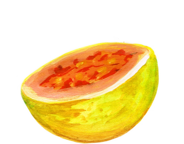 红囊番石榴水果素材