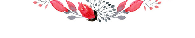彩色花环花叶素材