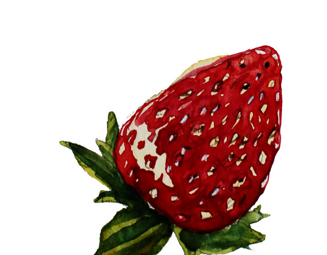暗红色草莓插画素材