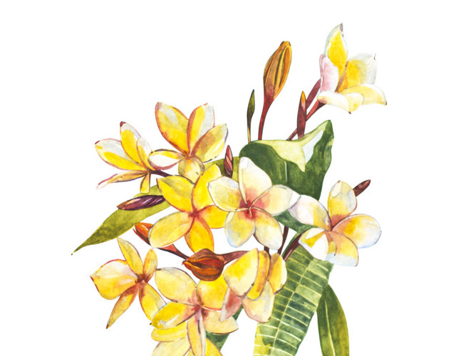 黄色花束花叶素材