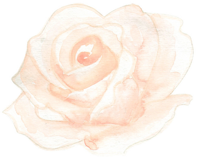 彩色小清新水彩花卉插画
