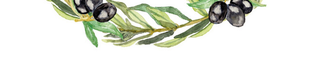 彩色小清新水彩花卉插画花圈