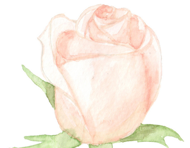 彩色小清新水彩花卉插画