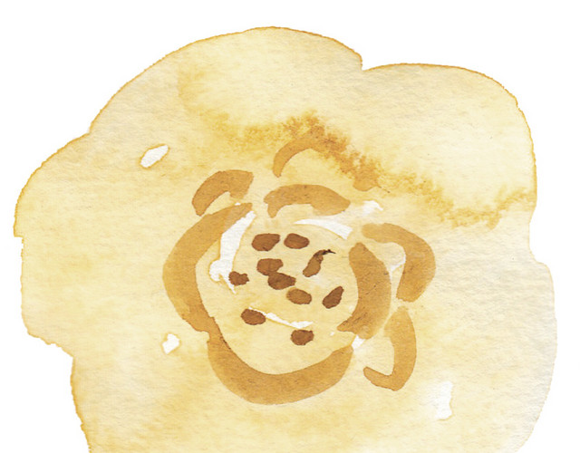 彩色小清新水彩花卉插画小黄花