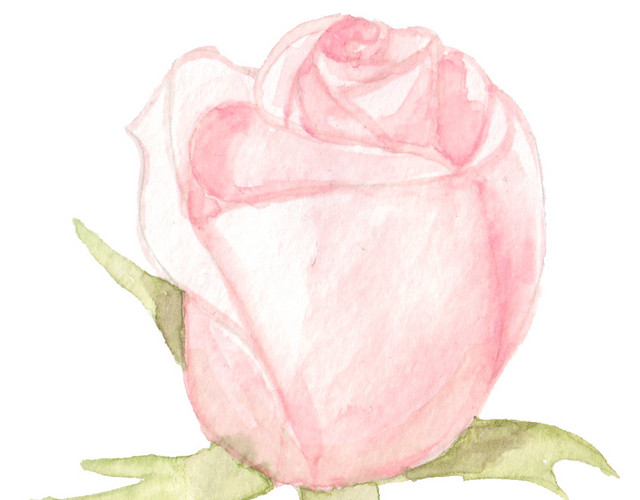 彩色小清新水彩花卉插画
