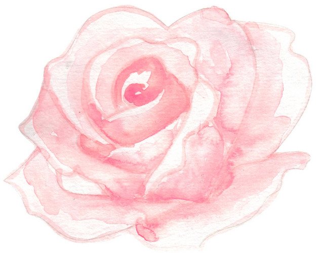 彩色小清新水彩花卉插画