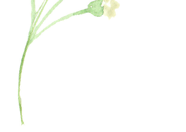 彩色小清新水彩花卉插画
