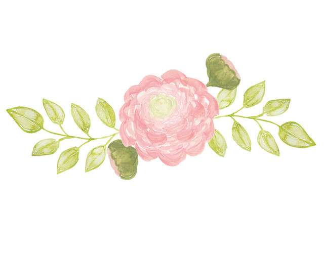 彩色小清新水彩花卉插画