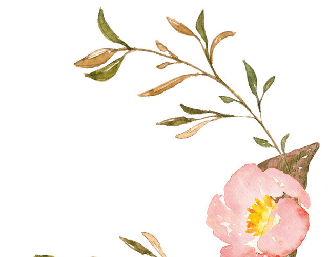 彩色小清新水彩花卉插画枝丫