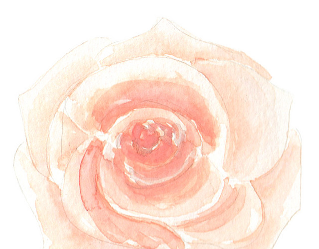 彩色小清新水彩花卉插画