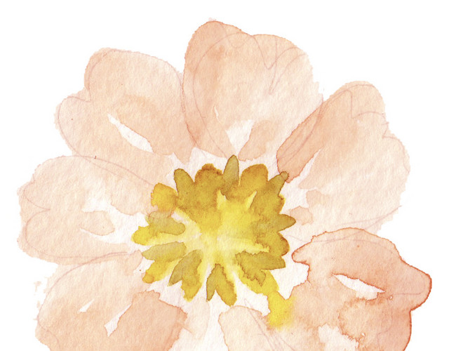 彩色小清新水彩花卉插画