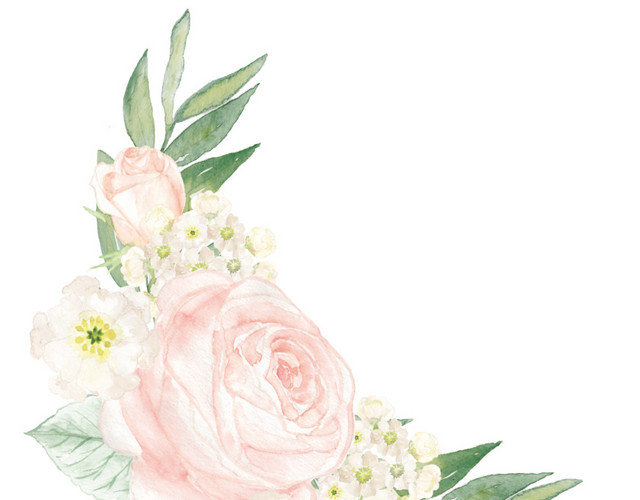 彩色小清新水彩花卉插画