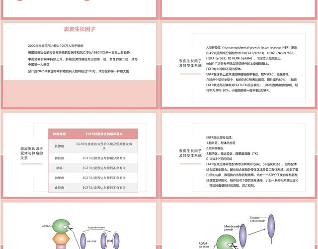 粉色简洁实用风肺癌靶向治疗肺癌护理查房PPT模板