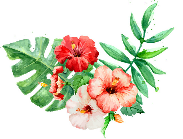 绿色叶子花瓣装饰