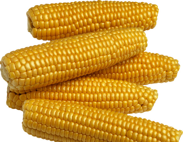 高清玉米食材素材
