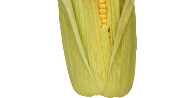 高清玉米食材素材