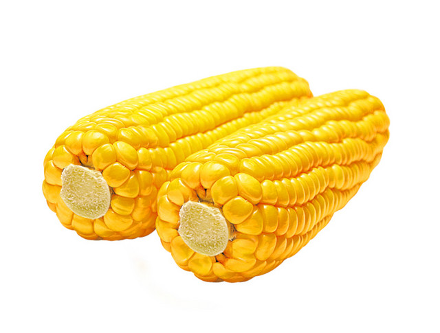 高清玉米食材素材