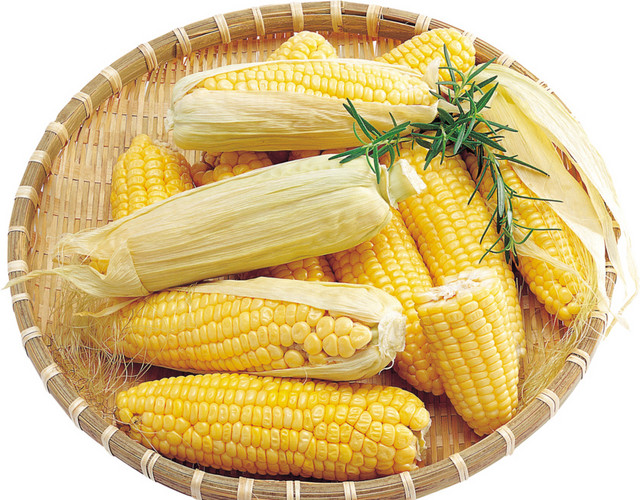 高清玉米食材素材