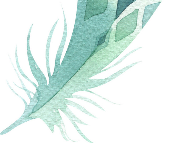手绘羽毛装饰素材
