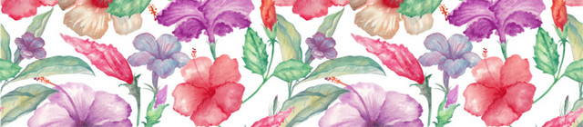花朵花卉背景素材图