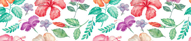 花朵花卉背景素材图