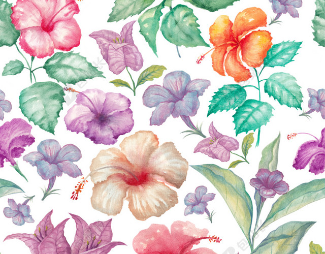 花朵花卉背景素材图