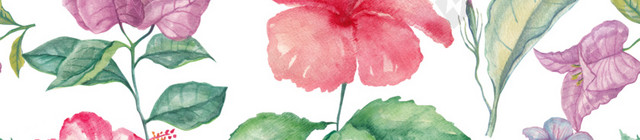 花朵花卉背景素材图