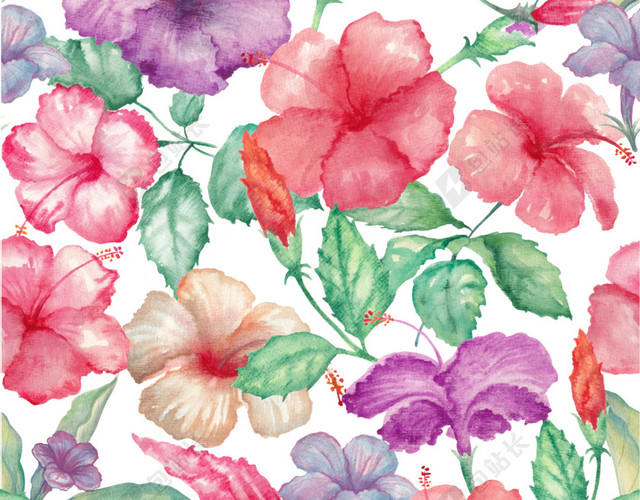 花朵花卉背景素材图