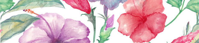 花朵花卉背景素材图