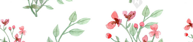 花朵花卉背景素材图