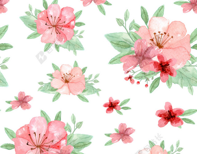 花朵花卉背景素材图