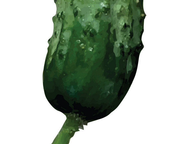 彩色蔬菜黄瓜矢量素材