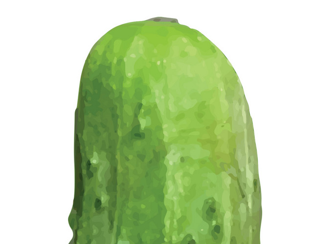 彩色蔬菜黄瓜矢量素材
