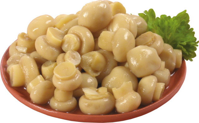 彩色菌类菜矢量素材