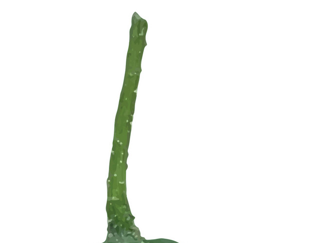 彩色蔬菜黄瓜矢量素材