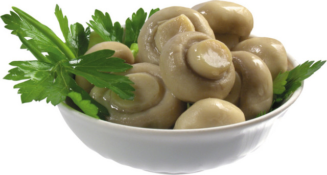 彩色菌类菜矢量素材