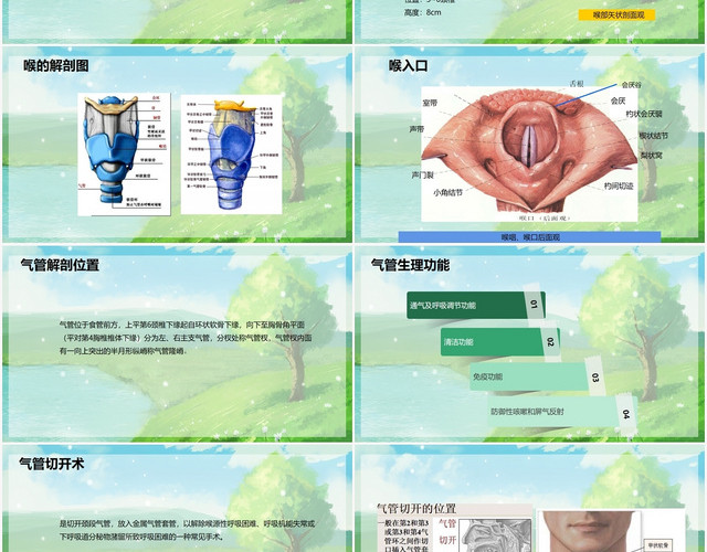 绿色卡通气管切开护理查房气管切开术后患者护理查房PPT模板