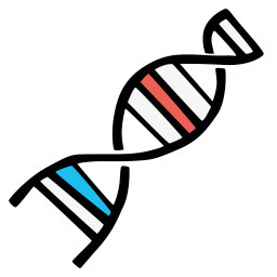 手绘螺旋DNA
